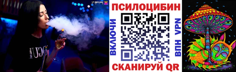 Купить  Тотьма  Псилоцибиновые грибы прущие грибы 