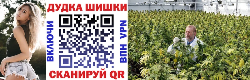 Конопля SATIVA & INDICA  Купить где  Тотьма 